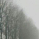 تصویر پروفایل iran