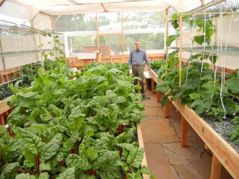 مزارع ارگانیک قابل حمل، برطرف کننده گرسنگی در جهان