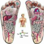 رفلکسولوژی _  ماساژ کدام نواحی پاها برای سلامت مفید است؟